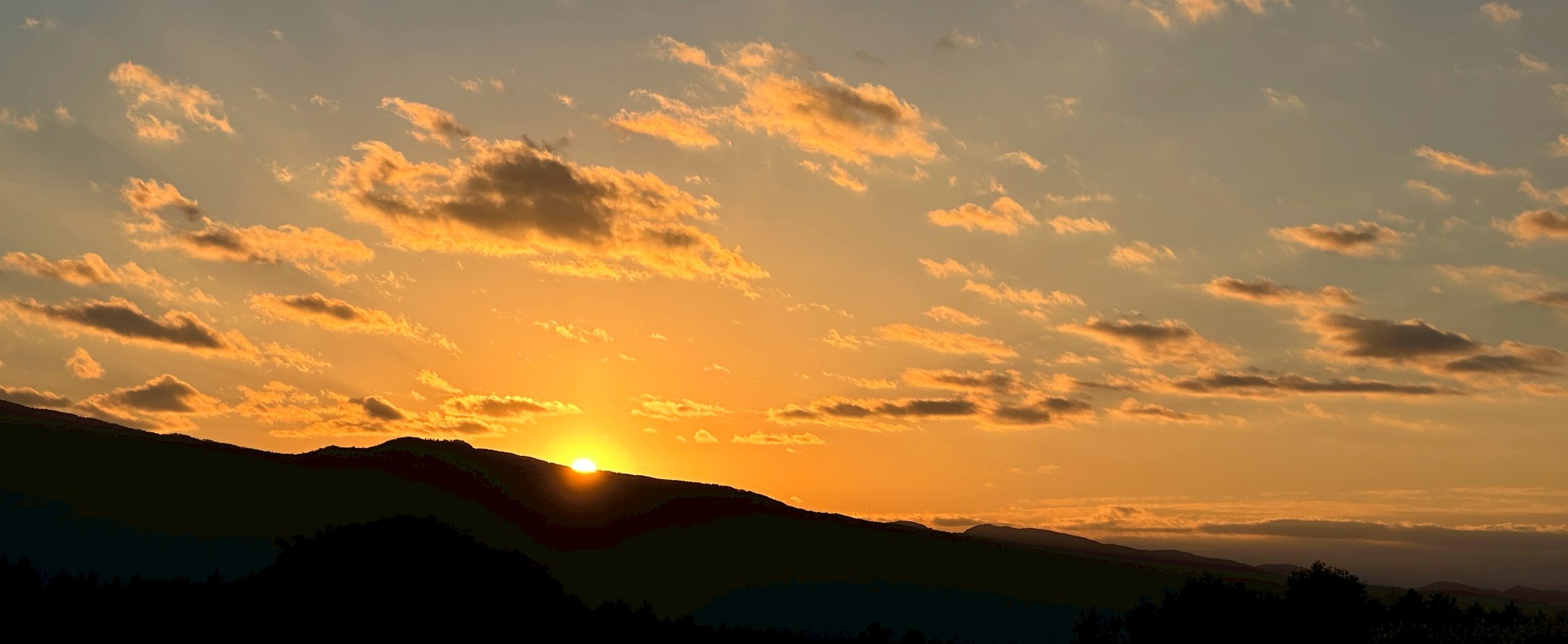 植松グループ地域振興協会
